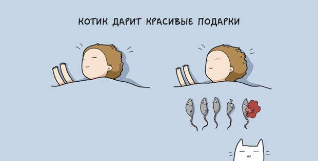 забавные причины завести кота