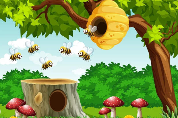 Бессмертный улей: как пчелиная семья обновляется и почему все равно умирает