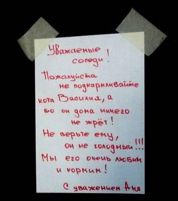 25 примеров как общаться с соседями