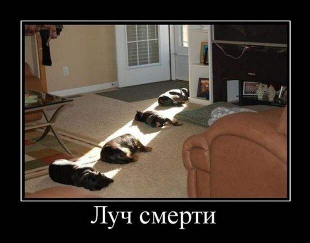 Просто приколы