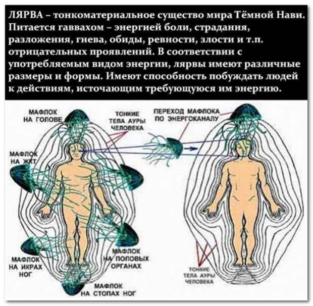 Лярвы. О тонких сущностях, управляющих людьми