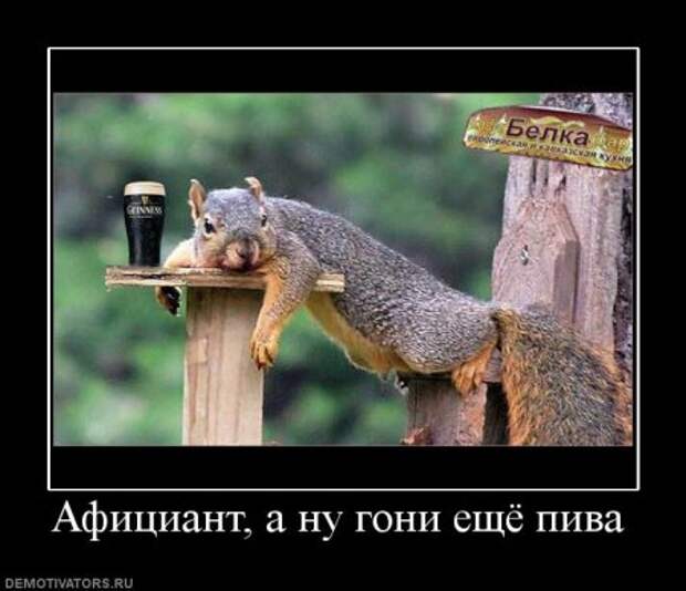 Смешные демотиваторы на разные темы.