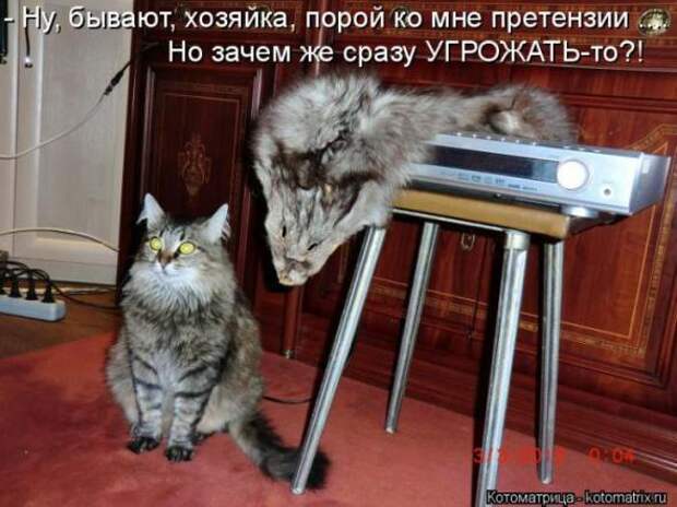 Котоматрицы (картинки с надписями)
