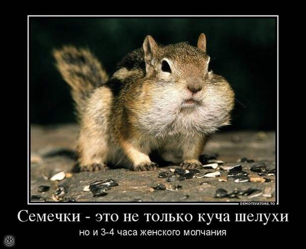 Демотиваторы на 9 марта 26