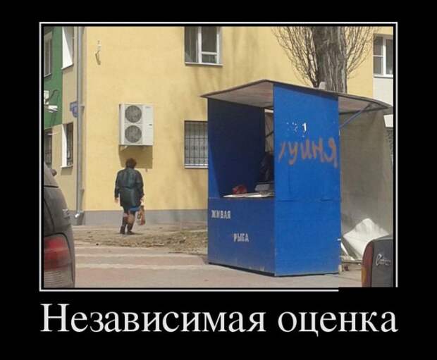 Подборка  демотиваторов демотиваторы, юмор