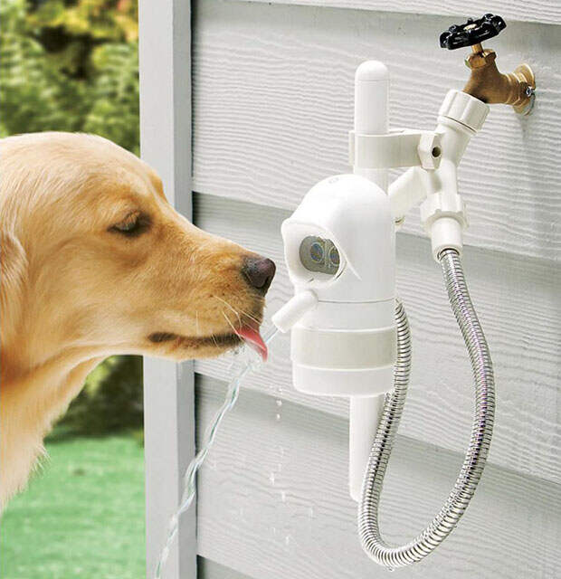 waterdog-automatic-outdoor-pet-drinking-fountain-xl