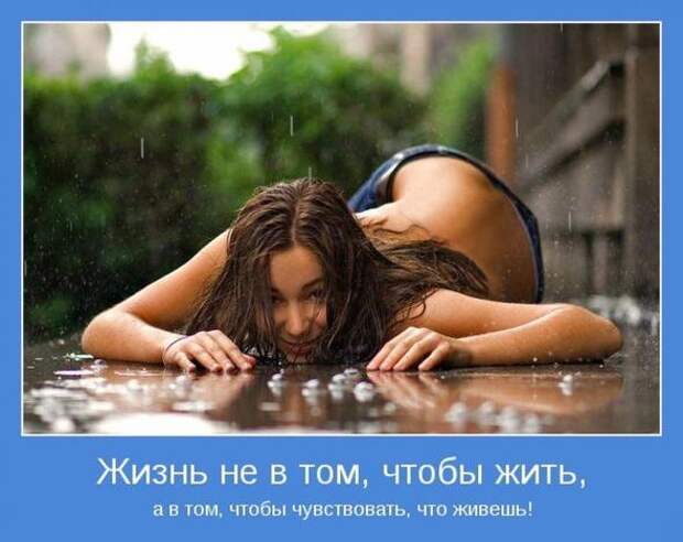 Мотиваторы