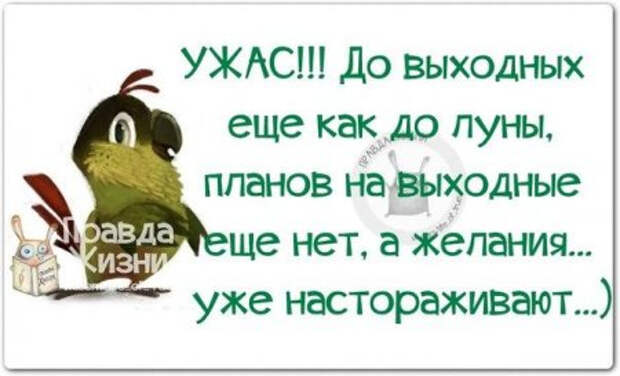 1433953502_ciwiyh53tr4 (450x273, 101Kb)