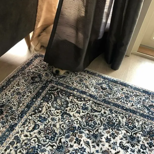 ?