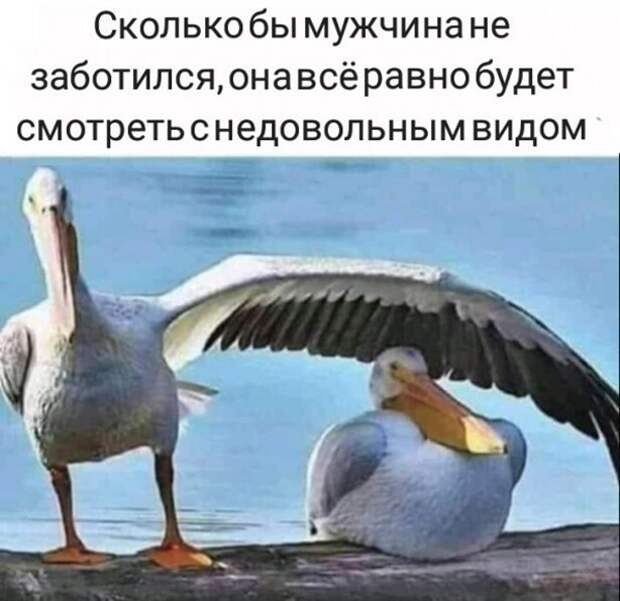 Так всегда ) Так всегда )