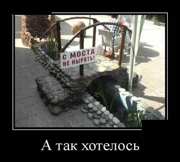 Веселые демотиваторы для утреннего веселья (10 фото)