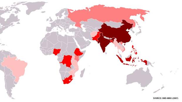 22 страны, случаи заболевания туберкулезом в которых составляют 80% от общемирового количества, 2007...