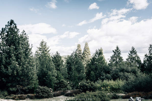 Palomar Mountain State Park-3.jpg