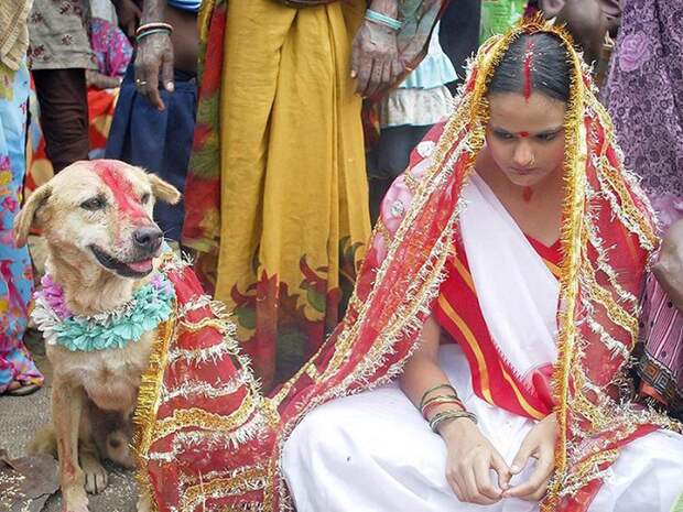 Индианка выходит замуж за пса. | Фото: ulu.az.