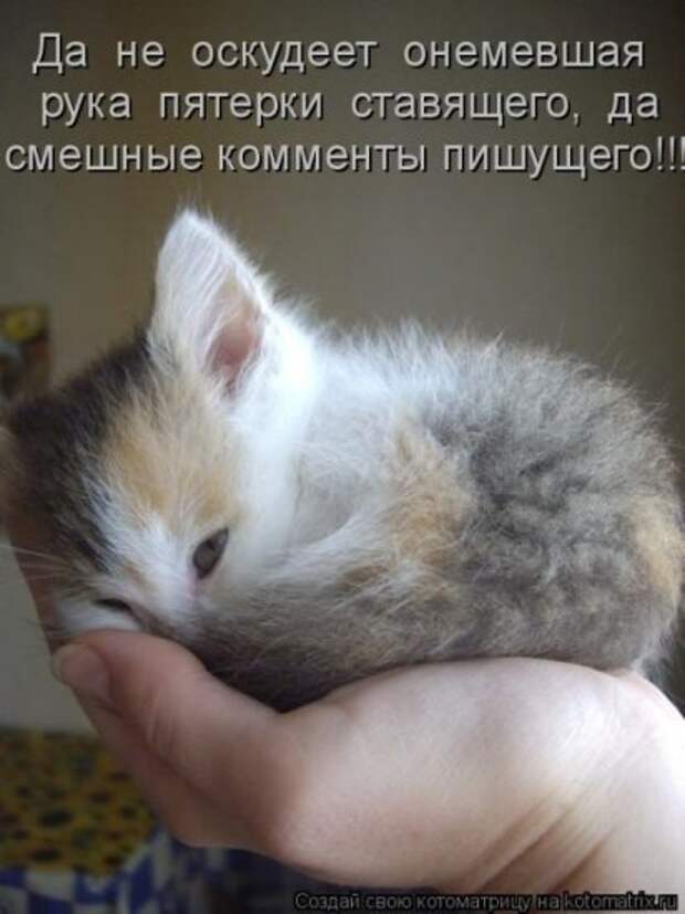 Котоматрица 26
