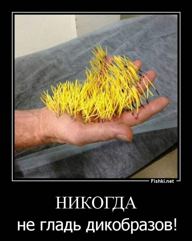 Демотиваторы  демотиваторы, прикол, смех, юмор