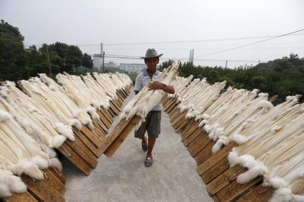 Производство меха в Китае 