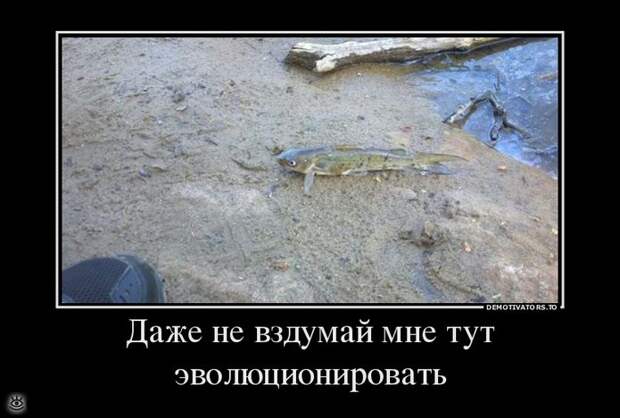 Непреклонные демотиваторы 23