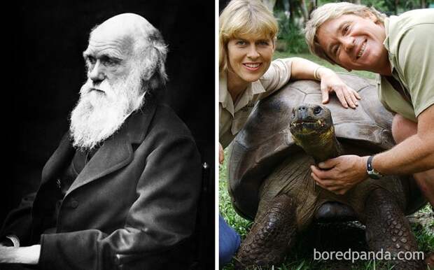 4. Черепаха Гариетта, которая умерла в 2006 году, когда-то видела Чарльза Дарвина интересное, исторические факты, история, познавательно, сша, факты, факты в картинках