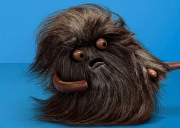 С Барабашкой лучше дружить. /Фото: storytrender.com С Барабашкой лучше дружить. /Фото: storytrender.com