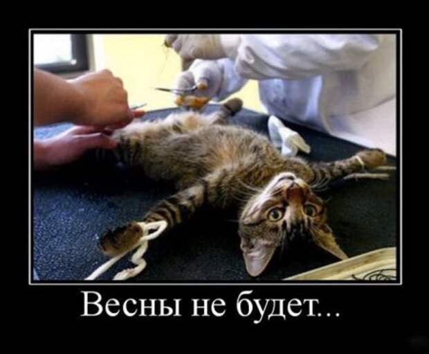 Демотиваторы много, свежие.