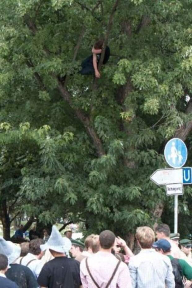 Всем хорошего и рабочего дня- Позитивчика пучок