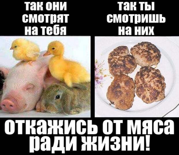 отказ от мяса