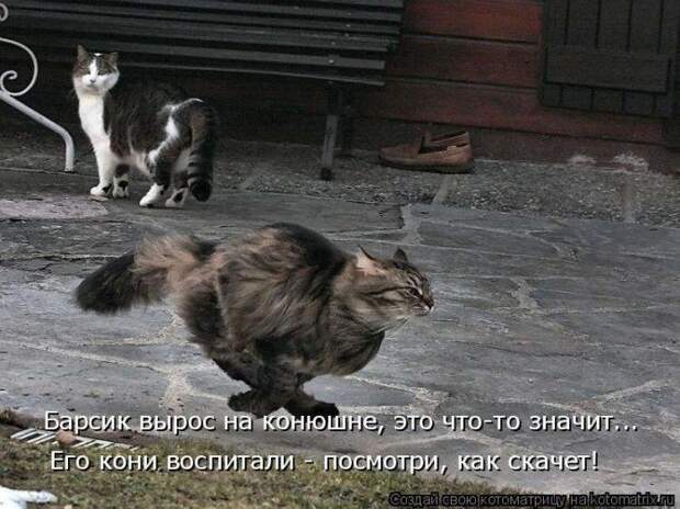 Мысли вслух :)