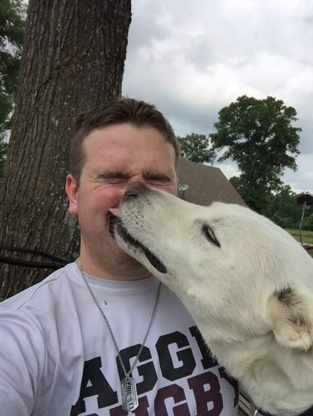 Животные-очаровашки (26 фото)