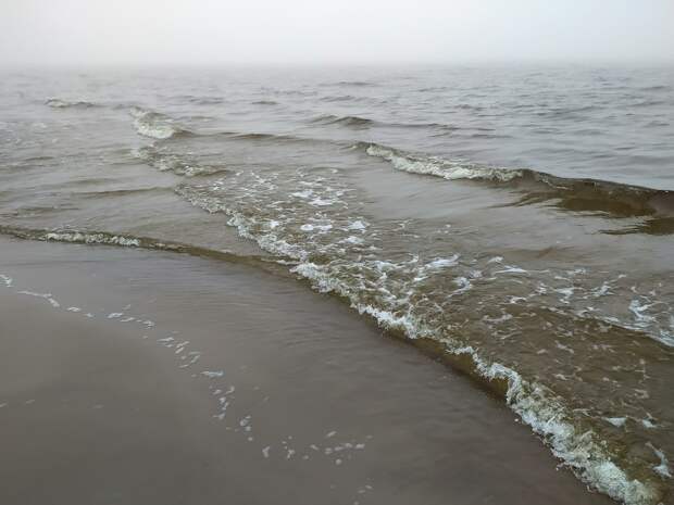 На берег Черного моря вынесло загадочную боеголовку