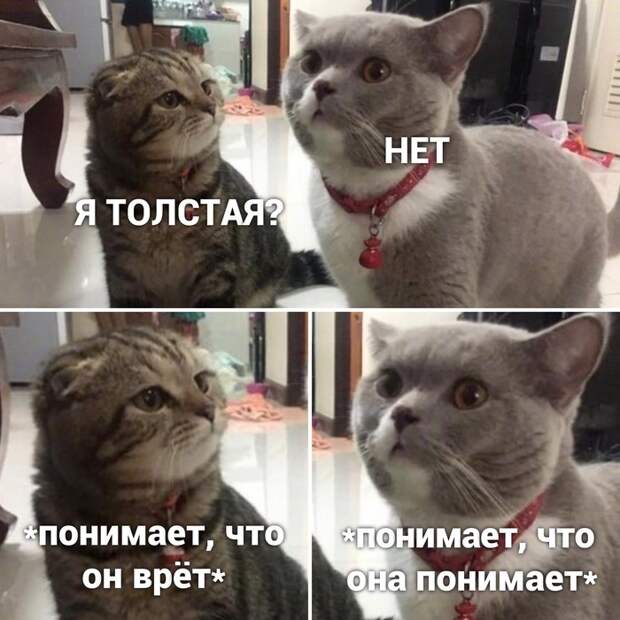 Высокие отношения