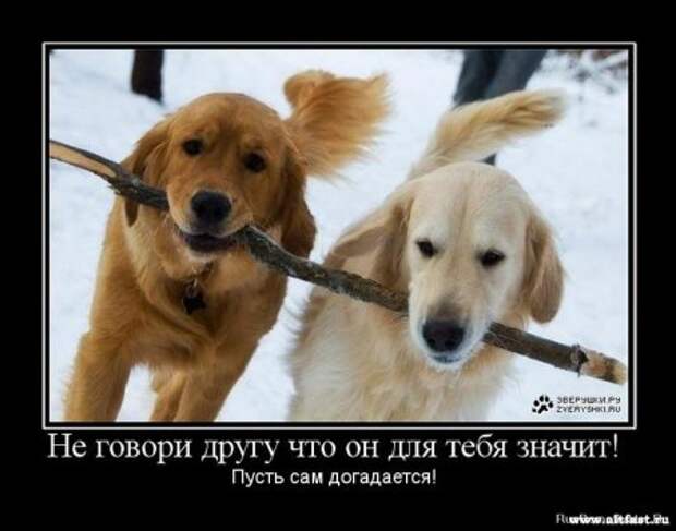 Демотиваторы про дружбу.