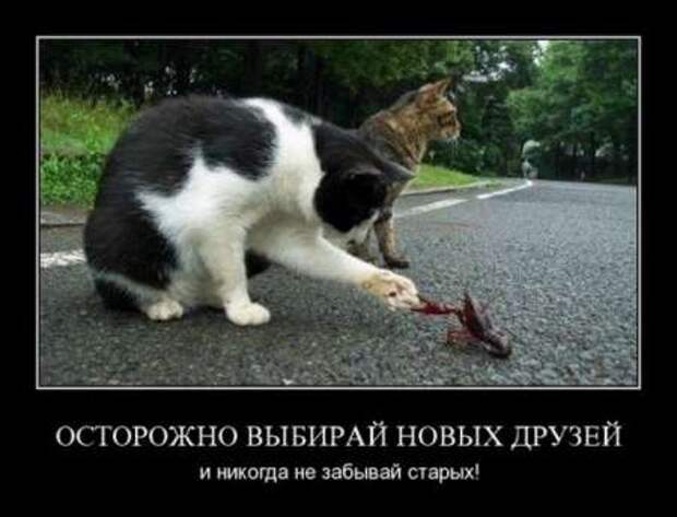 Демотиваторы по русски со смыслом.