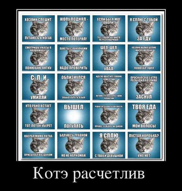 Сборник моих демотиваторов демотиватор, сборник