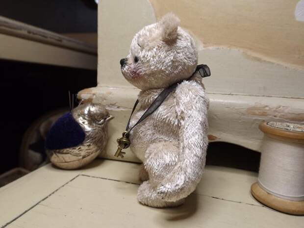 Starlet, миниатюрный медведь Барни медведей