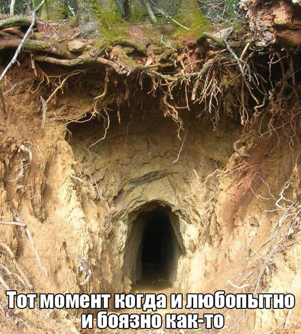 ПОДБОРКА ФОТОПРИКОЛОВ № 358 ПОДБОРКА ФОТОПРИКОЛОВ № 358