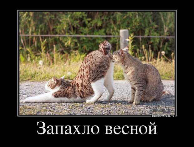 Демотиваторы демотиваторы, прикол, смех, юмор