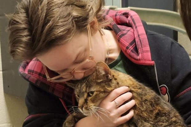 UPI: в США кот пропал из семьи и нашелся живым спустя 5 лет