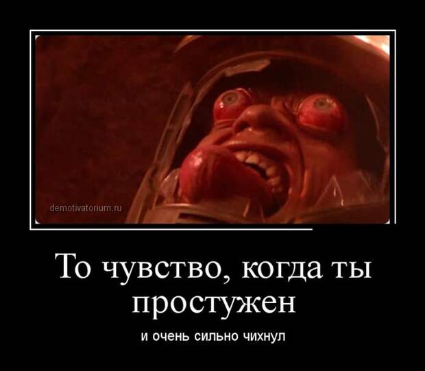 Демотиваторы (30 фото)