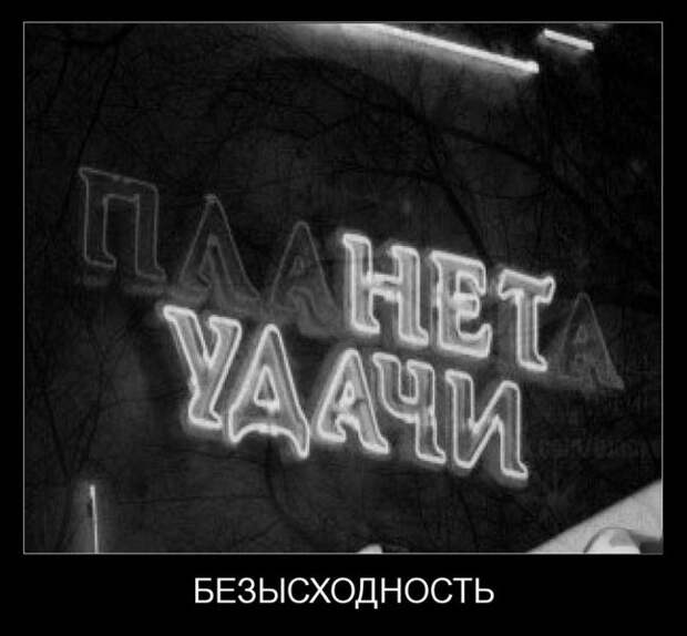 Демотиваторы дня от 8-11-2014 Демотиваторы дня от 8-11-2014