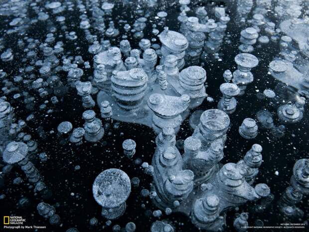 Замершие пузырьки метана природа, феномен