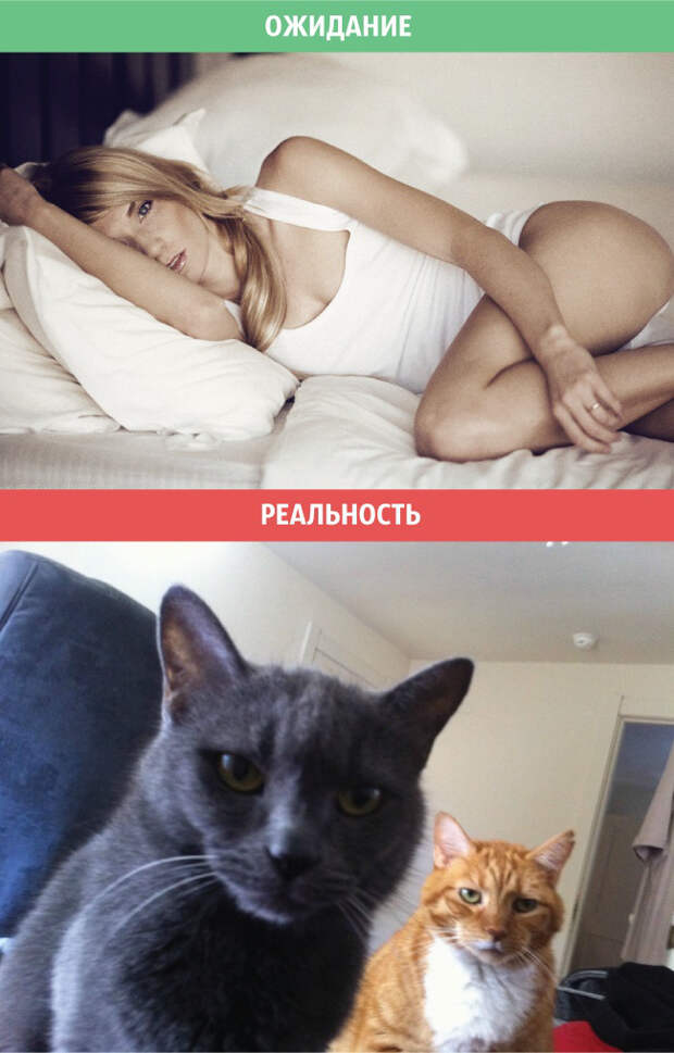 отношения 