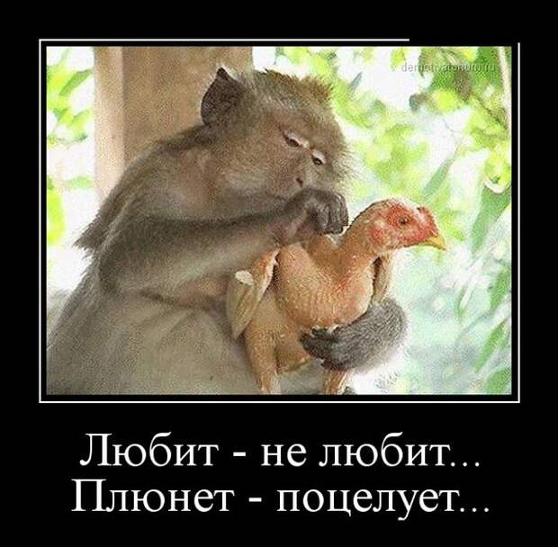 Демотиваторы (30 фото)