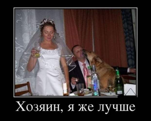 Прикольные демотиваторы и всегда во время.