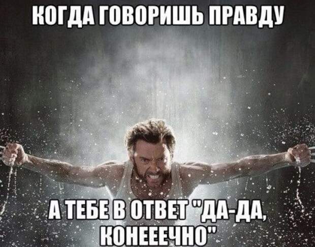 Фотомемы на Бугаге для хорошего настроения (23 шт)