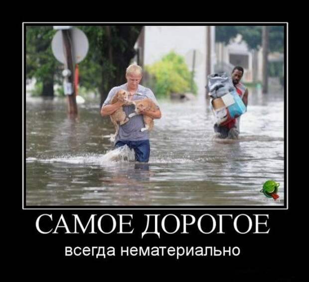 Правдивые демотиваторы