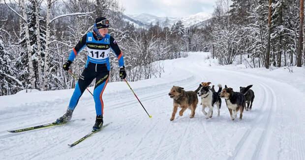 Вяльбе назвала инцидент с собаками на марафоне в Южно-Сахалинске случайностью