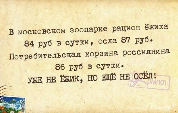 Человек уже не ежик, но еще и не осел!