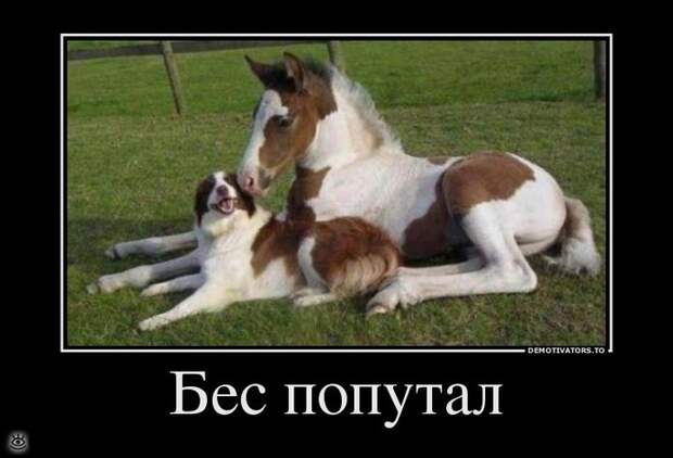 Селёдка под юбкой? 17