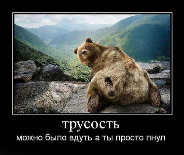 Демотиваторы (133 картинки)
